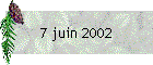 7 juin 2002