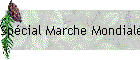 Spcial Marche Mondiale