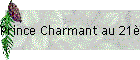 Prince Charmant au 21me Sicle